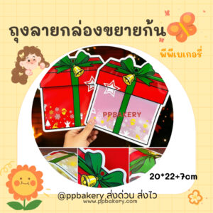 ถุงใส่ขนม ปากซิป รูปของขวัญ แพ็ค10ใบ