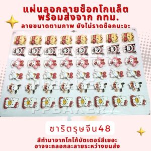 พร้อมส่ง แผ่นลอกลายช็อกโกแล็ต ลายน้องซาริตรุษจีน 1แผ่น ยังไม่ราดช็อกโกแล็ตนะคะ
